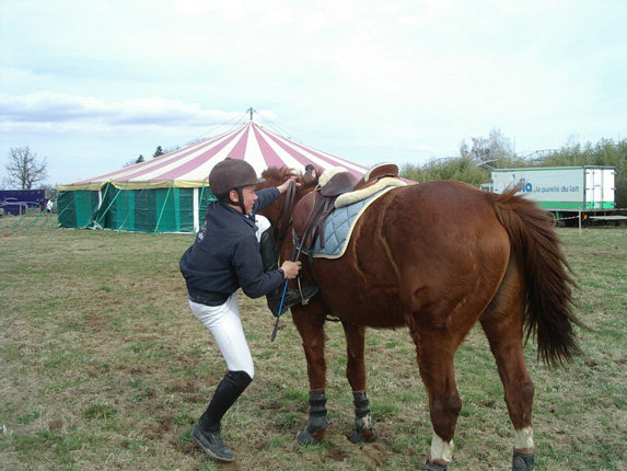 Le Cheval Aujourdhui En Dombes Et Aux Alentours Acad Mie De La Dombes